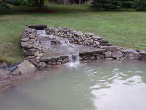 Pond Designs